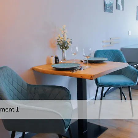 Appartement Modernes Apartment/zentrum/wi-fi/parkplatz Dresden