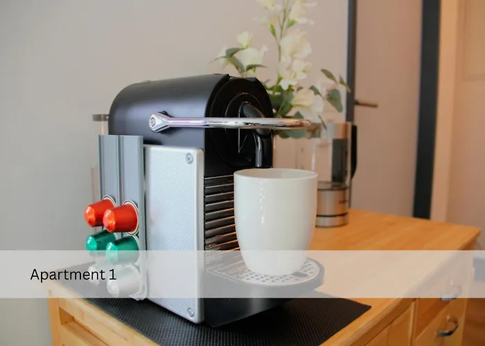 Modernes Apartment/zentrum/wi-fi/parkplatz Appartement