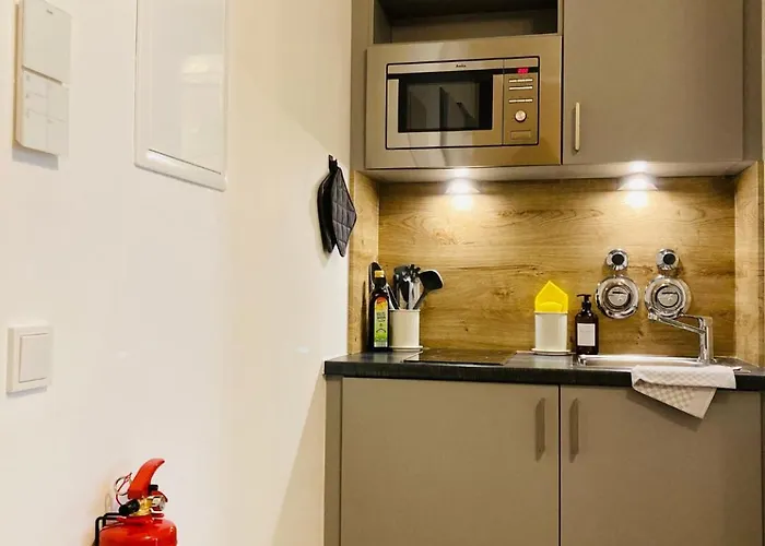 Appartement Modernes Apartment/zentrum/wi-fi/parkplatz