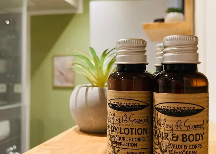 Modernes Apartment/zentrum/wi-fi/parkplatz Appartement *