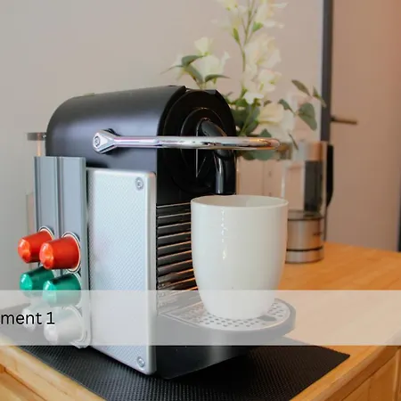 Modernes Apartment/zentrum/wi-fi/parkplatz Appartement
